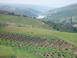 الاحد : إنخفاض طفيف على الحرارة