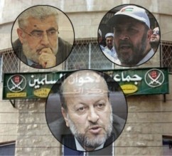 الكوفحي يشعل خلافات الحمائم والصقور