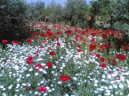 انخفاض قليل على درجات الحرارة الاحد