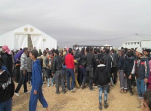 القبض على لاجئ طعن ضابط في الزعتري..!!