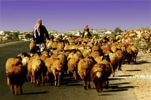 الكيماوي السوري وصل الأردن