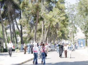 قبول 729 طالبا بالتجسير - (رابط الأسماء)