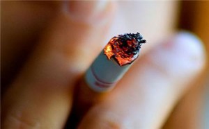 شركات تبغ تتجه لرفع اسعار منتجاتها.. والتجّار يستغلون