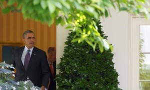 كشف المؤامرة الأمريكية ..!!