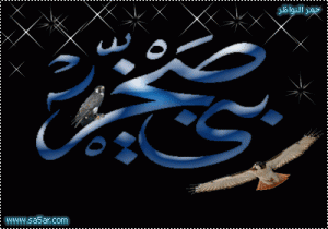 في بيان "لعشائر بني صخر" : لا علاقة لنا ب"صحوة بني صخر"