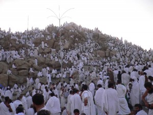 نجاح التروية والركن الأعظم اليوم