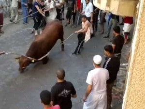 بالصور : 125 إصابة بإشتباكات بين "العجول و المواطنين" في غزة