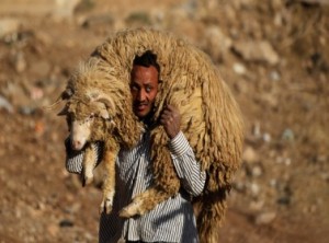 أجواء أردنية أول أيام العيد (صور)