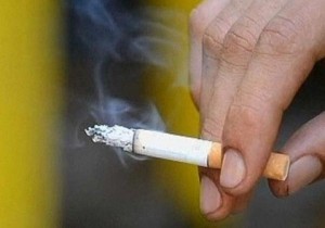 شركات تبغ ترفع أسعار الدخان من 10 - 20 قرشا