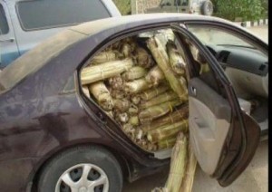 عرب يروجون المخدرات في الأردن