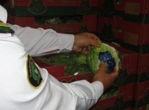 السعودية تحبط تهريب مخدرات بأوراق خس أردنية