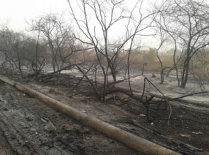 الشونة الجنوبية : حريق ضخم يتسبب باخلاء مدرستين واغلاق الطريق الرئيسي