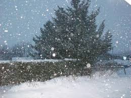 أمطار غزيرة .. وثلوج محتملة على القمم الجبلية المرتفعة