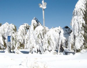 منخفض جوي عميق وبارد وتوقعات بتساقط الثلوج الاربعاء