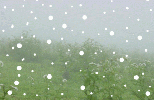 تحذيرات من الدفاع المدني وتعليمات للتعامل مع المنخفض