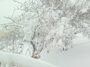 آخر توقعات الحالة الجوية لهذه الليلة وغدا السبت مع محمد الشاكر