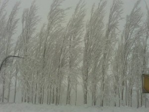 الحالة الجوية من السبت حتى الاثنين...ارتفاع على درجات الحرارة وتحذير من الانجماد