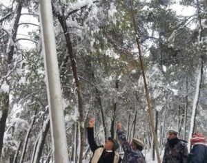 مطالب بتسليم شركة الكهرباء للجيش