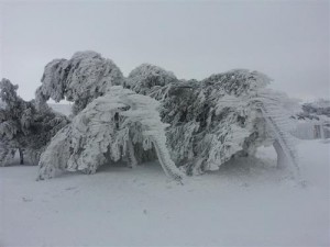 حالة الطرق حتى الساعة 11 مساء