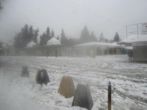 جامعات تعلّق دوامها غداً الاثنين ..تحديث اسماء