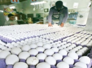 بورصة البيض!