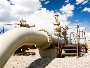 حامد: بنود اتفاقية الغاز المبرمة مع مصر "سرية"