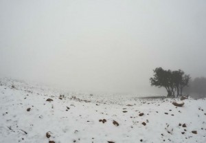 بالصور....الثلوج تغطي الهيشة