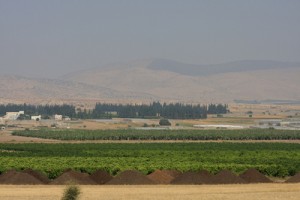 برلماني مقرّب من نتنياهو.. الأردن يريد بقاء إسرائيل على طول الحدود