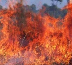 حريق ضخم يلتهم عدة مزارع بالكرك