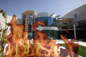 ولعت في امانة عمان والشواربه يقود المصالحة