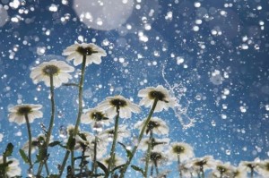 مُنخفض جوي وكُتلة هوائية باردة يؤثران على المنطقة السبت المُقبل