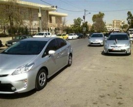 هجين وقع بسلة تين؟!!