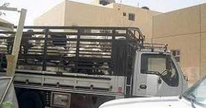 انقلاب شاحنة على طريق جرش محملة بالاغنام