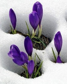 حالة الطقس .. خميس .. جمعة .. سبت .. احد .. وبالتفصيل