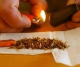 ضبط 497 طالبا جامعيا في قضايا مخدرات