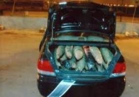 ضبط مركبة مشبوهة بداخلها مواد مخدرة ومسروقات في ضاحية الرشيد