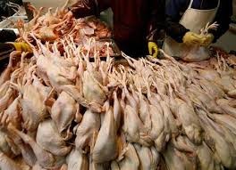 استنفار صحي في الاغوار اثر ضبط لحوم ودواجن فاسدة بعد توزيع كميات منها للمستشفيات