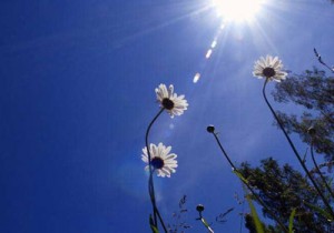 حالة الطقس المتوقعة من اليوم وحتى الخميس