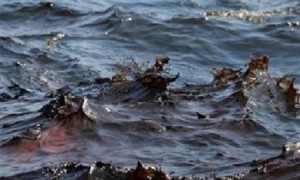 حجز باخرة تسببت بتلوث البحر في العقبة