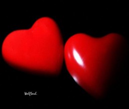 هاكر رومانسي يخترق موقعا حكوميا ليهنئ زوجته بالتخرج..صورة