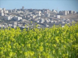 الأربعاء : أجواء لطيفة