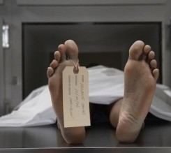 مصرع سيدة دهسها (أفضل سائق) بالبلدية في بلدة الطرة