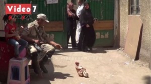 بالفيديو..شرطي مصري يطلب من دجاجة رقم بطاقتها أمام مركز انتخابي