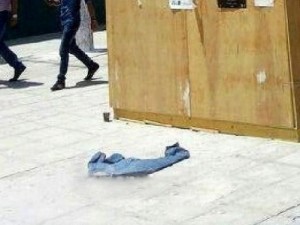 "انا محبب وماخذ ماريجوانا" .. مشلح في الجامعة الأردنية وما حدا إله دخل..!! بالصور