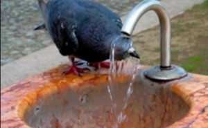 الأردنيون يسبحون في بحر من العطش والنواب يستدعون وزير المياه