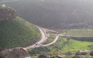 الجيش: مقتل مسلحين حاولوا التسلل عبر الحدود