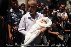 "زوجة الضيف".. أكلت العسل من "قعر النار"!