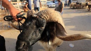 مشاهد من احتفال المسلمين بعيد الأضحى في مشارق الأرض ومغاربها