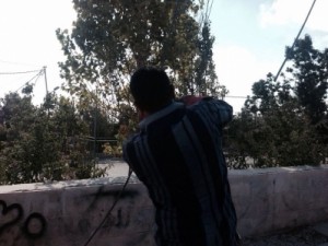 لصوص يقطعون اسلاك الكهرباء بطريقة احترافية ويسرقون الكابيلات في ضاحية الرشيد !! شاهد الصور