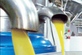 الامن: هكذا يتم تصنيع زيت الزيتون المغشوش !!